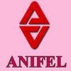 Anifel Management and General Services Corporation