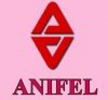 Anifel Management and General Services Corporation