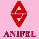 Anifel Management and General Services Corporation