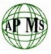 Arab Peninsula Manpower Services