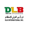 DLB International