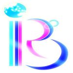 Businesswise International Resources