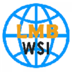 LMB Worldwide Service
