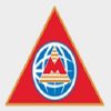 Metro Global Search International Network