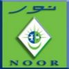 Noor International Personnel Services