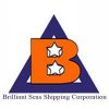 Brilliant Seas Shipping Corporation
