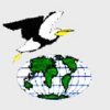 Seabird Ship Management